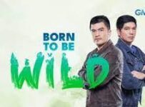 Born To Be Wild August 11 2024